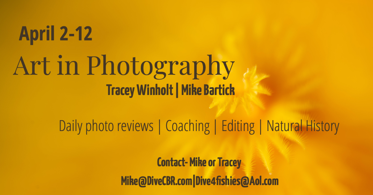 ArtPhotog