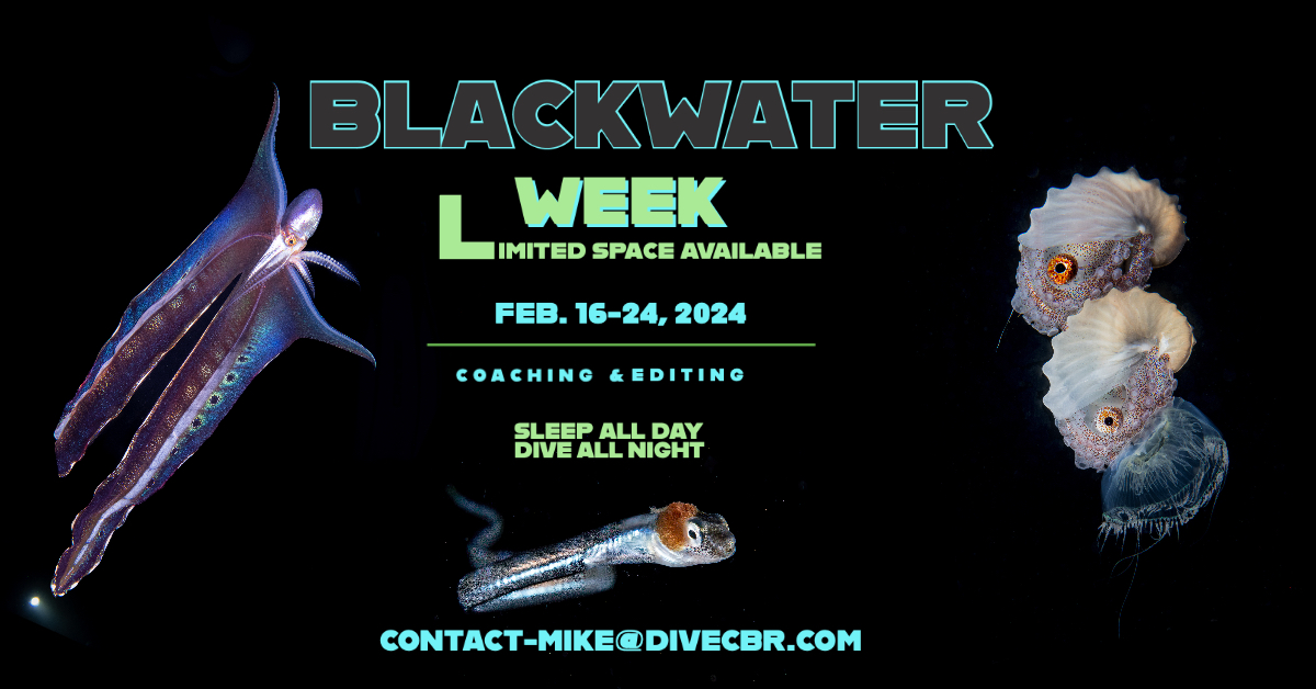 Blackwater2 16 24