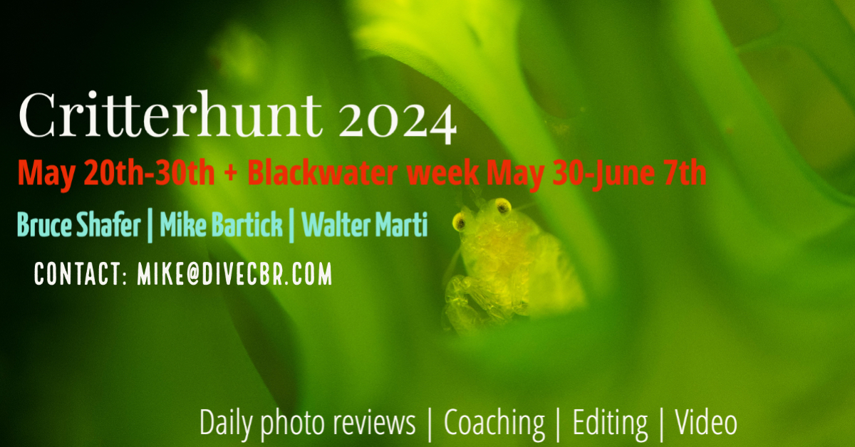 Critterhunt2024