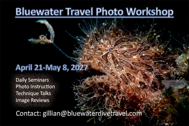 06BluewaterTravel